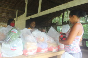 Read more about the article Jovens da comunidade Cento dos Calixtos organiza cestas agroecológicas para entregar as famílias carentes